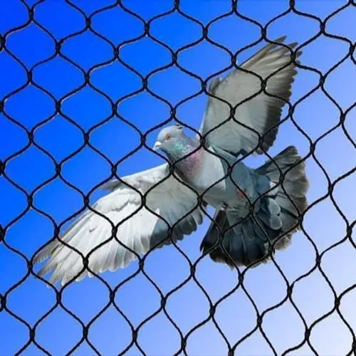 bird-protection-netting-mumbai